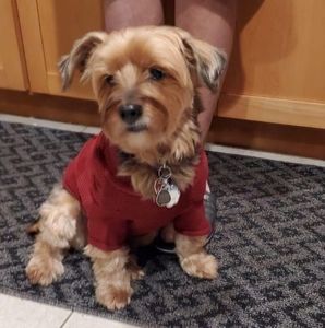 Meet your Posher, Eleanor fausto